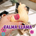 Calma Llama Stress Toy - Llama Fidget/Stress Toys