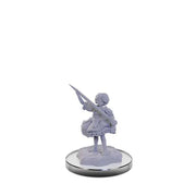 D&D Nolzur's Marvelous Miniatures: Carrionettes