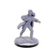 D&D Nolzur's Marvelous Miniatures: Reborn Paladin & Reborn Warlock