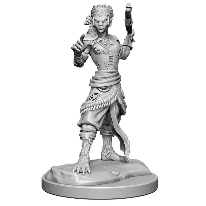 D&D Nolzur's Marvelous Unpainted Miniatures: Shifter Fighter