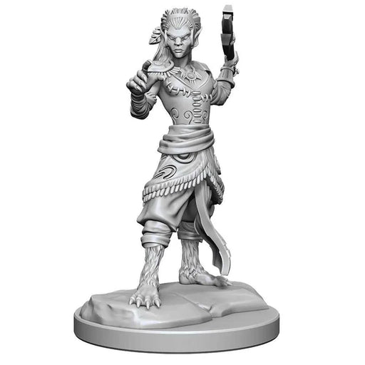 D&D Nolzur's Marvelous Unpainted Miniatures: Shifter Fighter