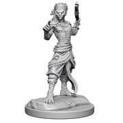 D&D Nolzur's Marvelous Unpainted Miniatures: Shifter Fighter