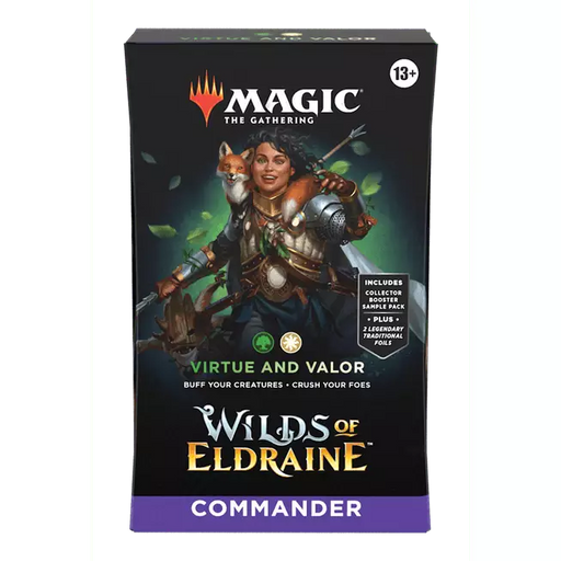 Magic the Gathering : Virtue and Valor Commander Deck