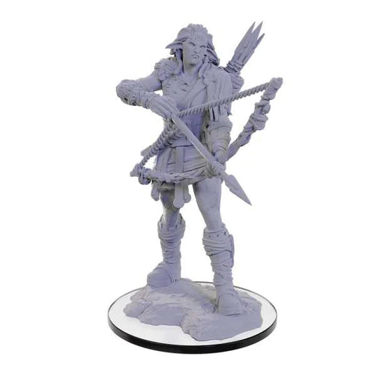 Pathfinder Deep Cuts Miniatures: Wood Giant