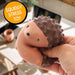 Stress Hog Stress Toy - Hedgehog Fidget/Stress Toys